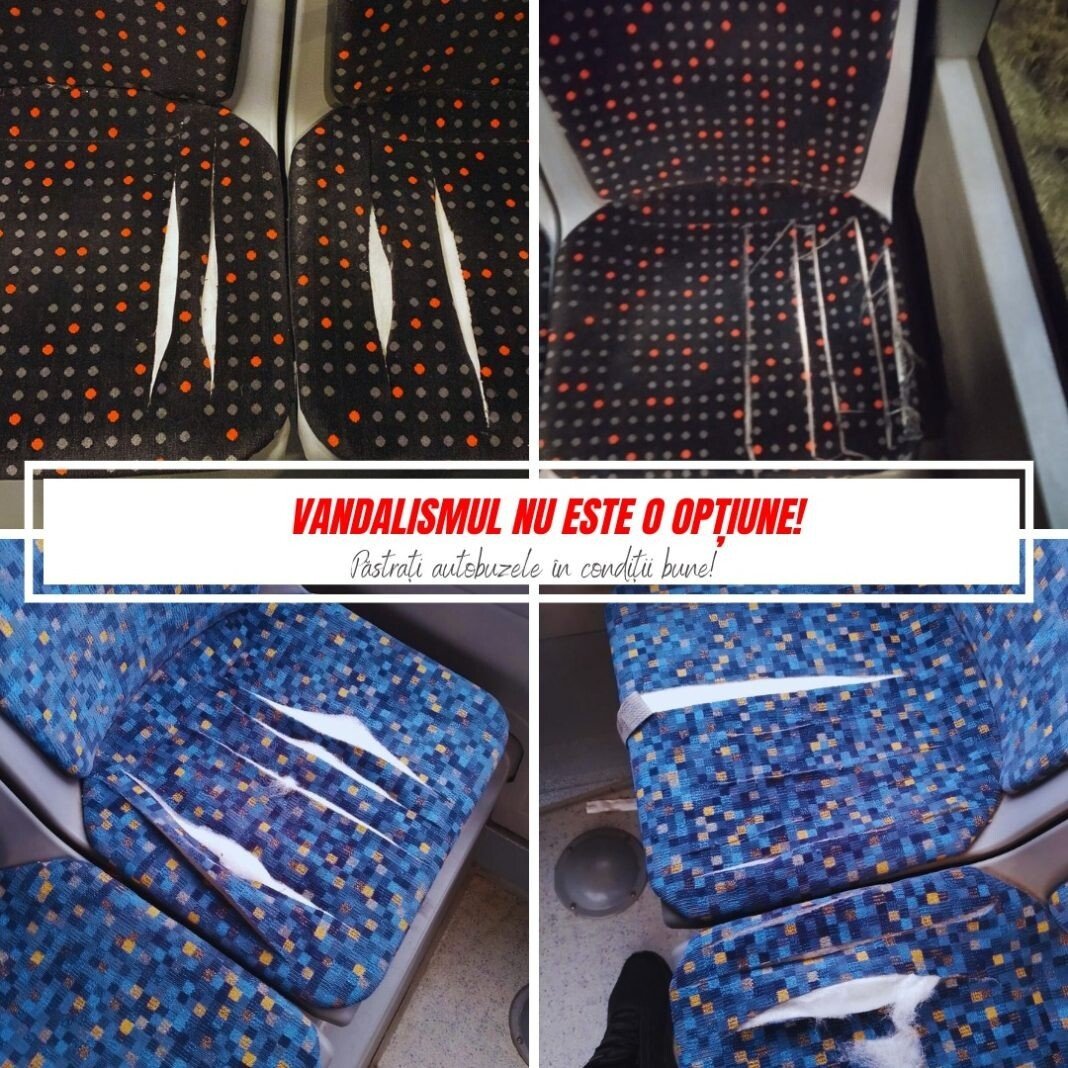 430091902_904263551490205_8518340844229391260_n