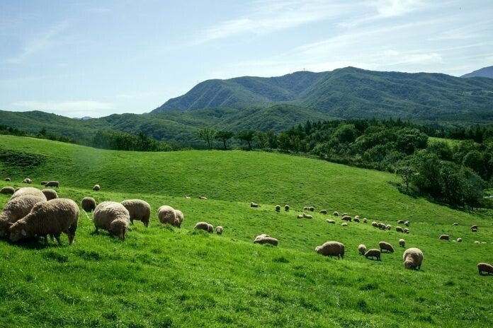 ranch-5994644_960_720