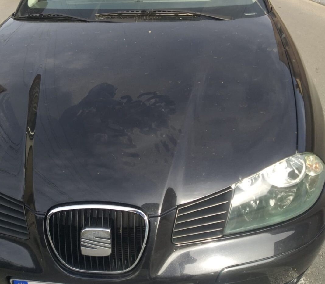 bc61c19c-4f43-4ea2-81c3-eff5e0915bdc-2-1