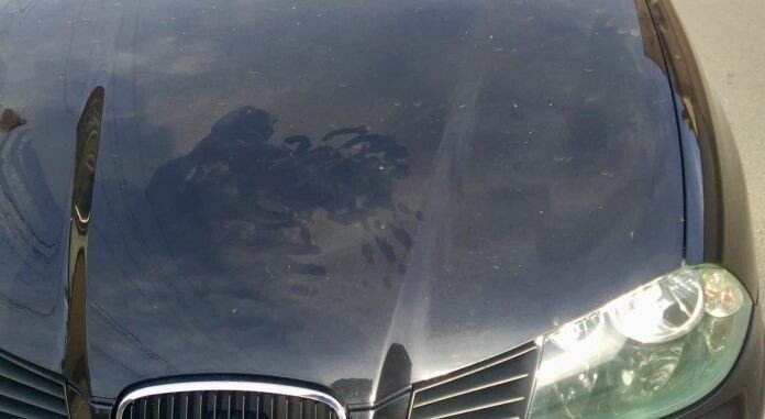 bc61c19c-4f43-4ea2-81c3-eff5e0915bdc-1