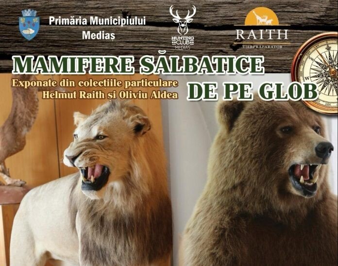 Imagine-WhatsApp-2024-04-12-la-13.45.56_b5c006fb