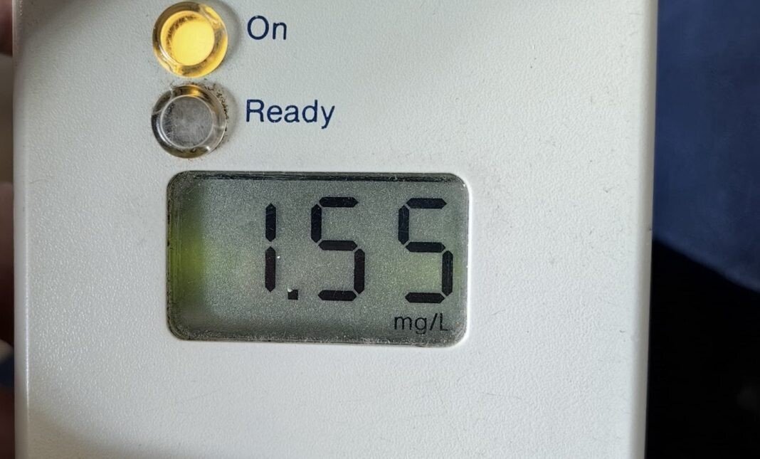 1577bbf6-8181-46b6-9f34-06096f3b8d55-1