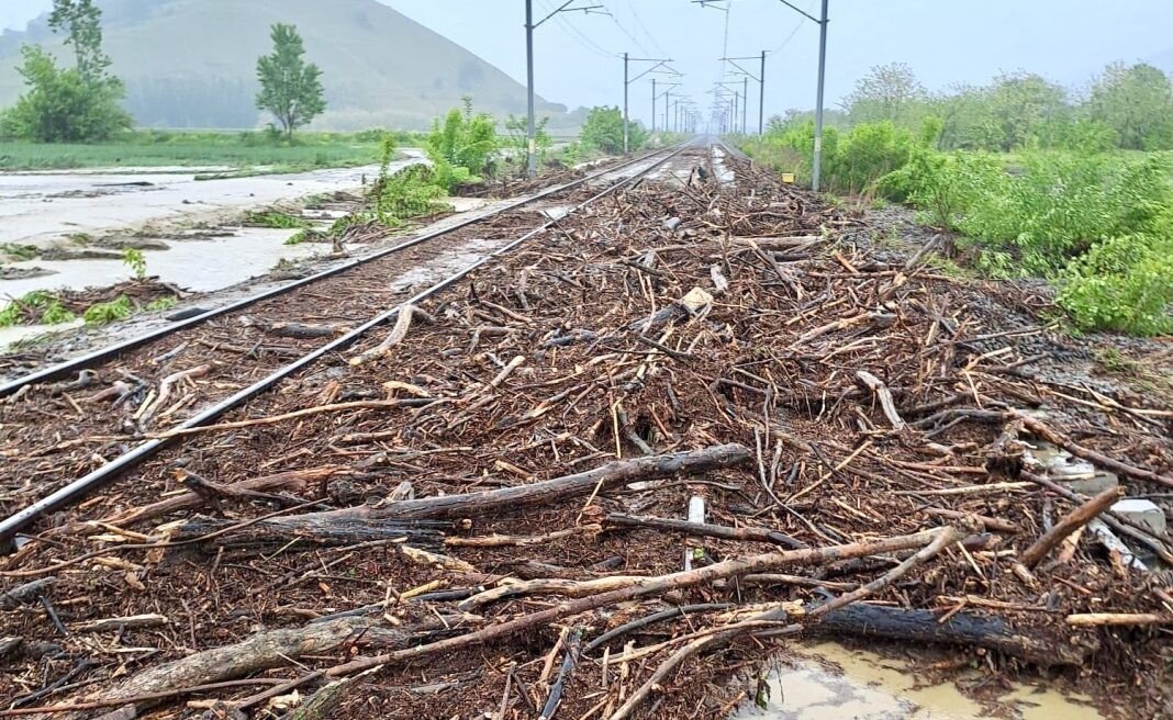 659d574b-73c0-4d55-b3a4-1515fb37d1cb-1