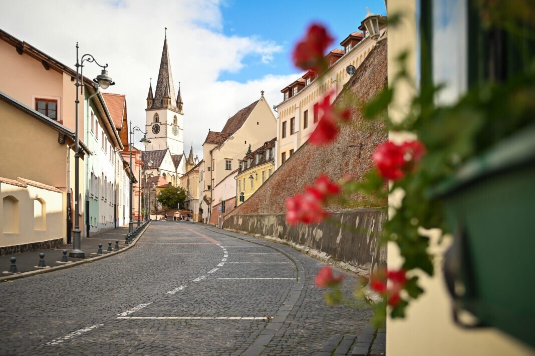 ZEPPELIN STUDIO FOCUS AGENCY