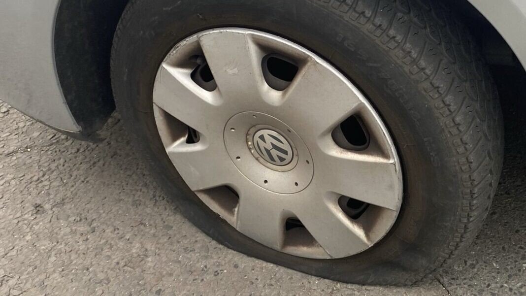 599bdca7-c8fa-477a-8c87-1303dd55760a-1