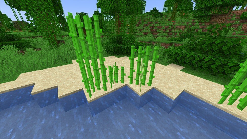 sugar cane in minecraft