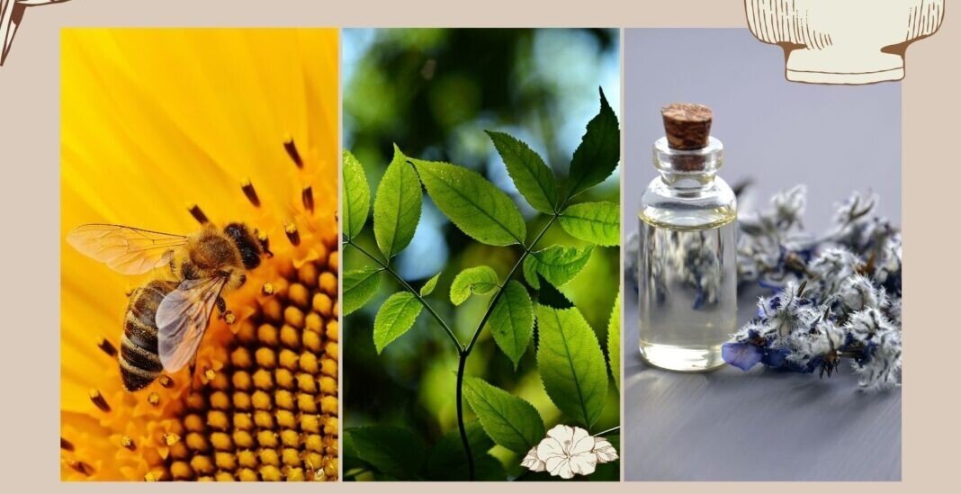 Poster webinar October 18 2024