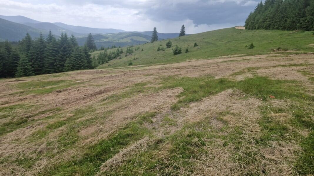 pășuni deteriorate la Păltiniș