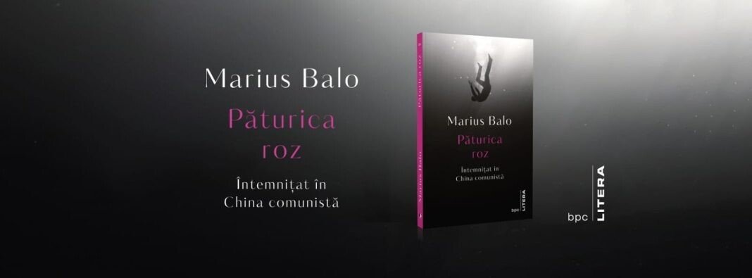 402619737_10160437920063218_512985299177025635_n