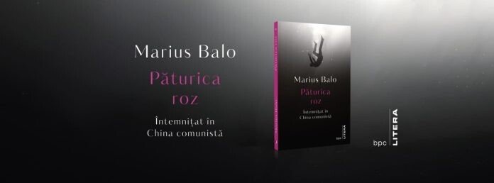 402619737_10160437920063218_512985299177025635_n