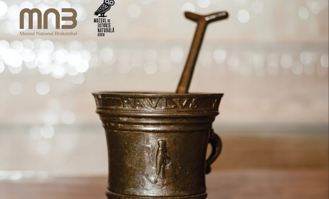 469650858_1047828667146083_7178253191536679107_n