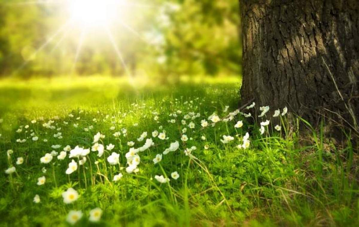 Temperaturi record în mijlocul iernii. Ce ne așteaptă în februarie?