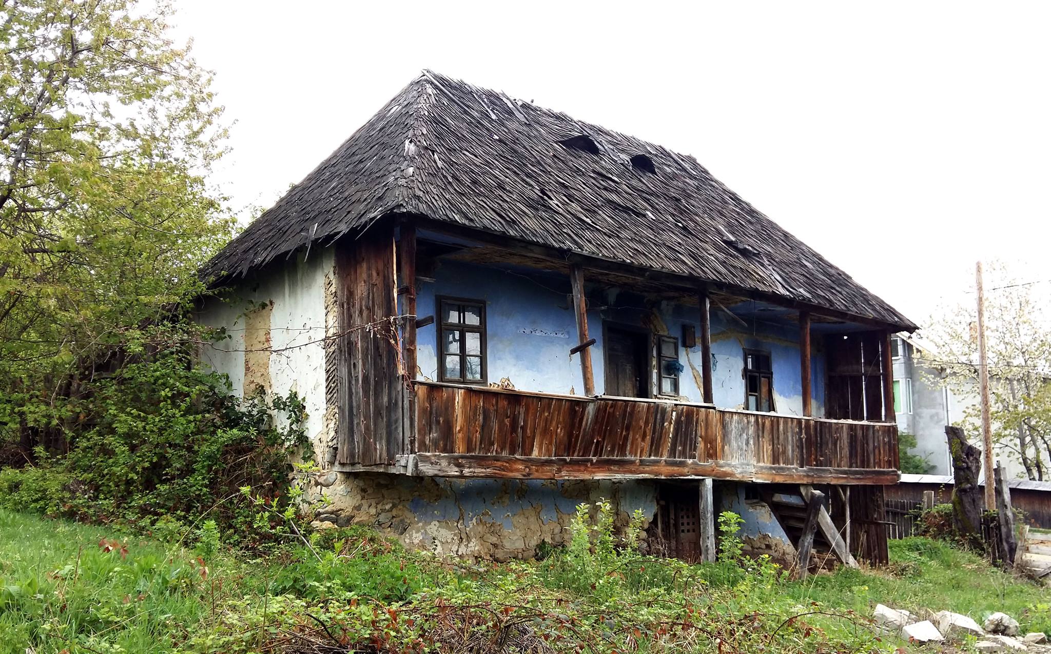 Sibienii de dincole de munte: Povestea ciobanilor stabiliți în Vaideeni, Vâlcea