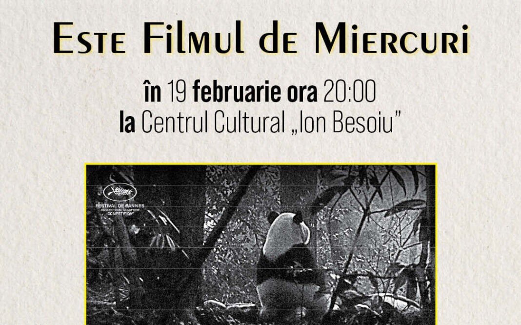 EFdM_afis_19februarie2