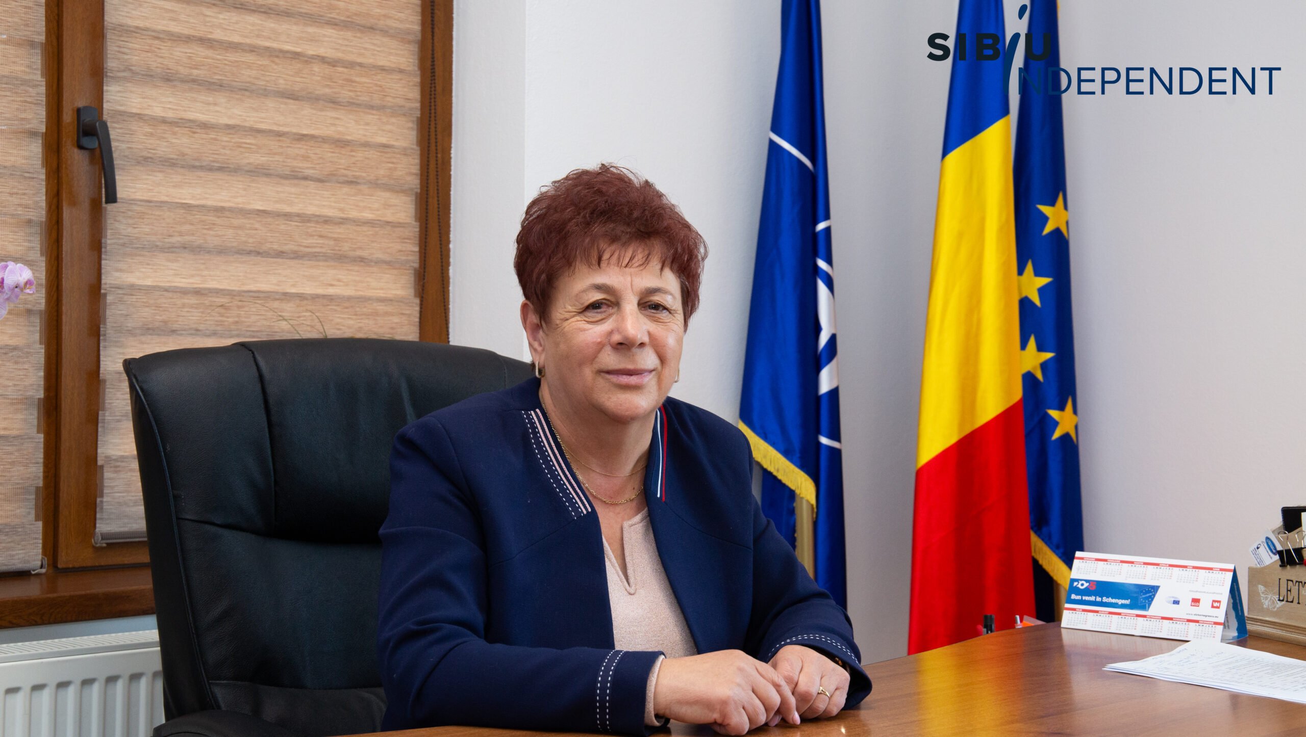 Loamneș investește 1,4 milioane de euro într-un parc fotovoltaic pentru instituții și familii vulnerabile