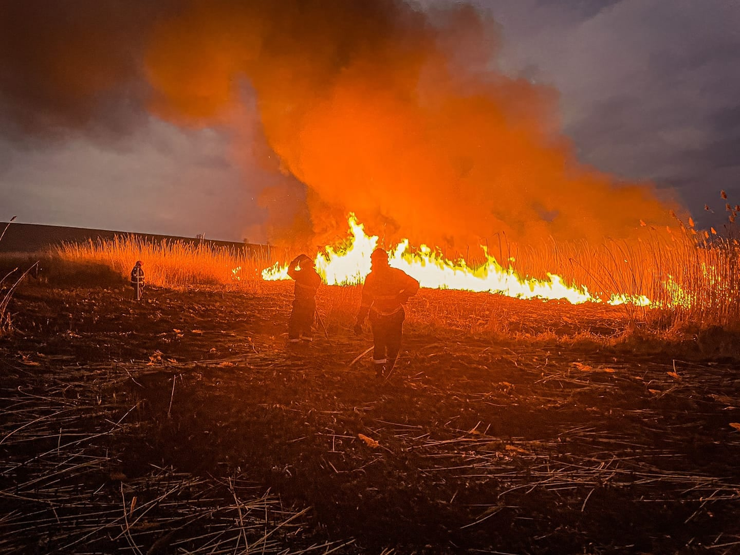 Garda Naţională de Mediu: Amenzi mari și pedepse pentru incendiile de vegetație