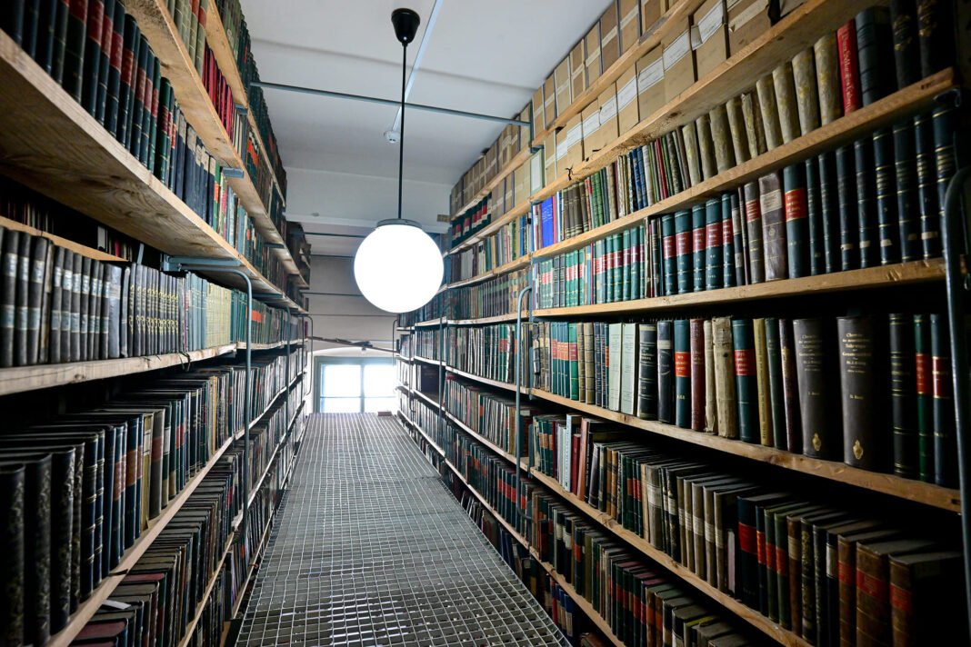 481710342_1105987254663557_1853880970904667139_n