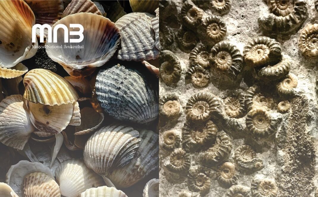 Afis expo Aprilie 2025