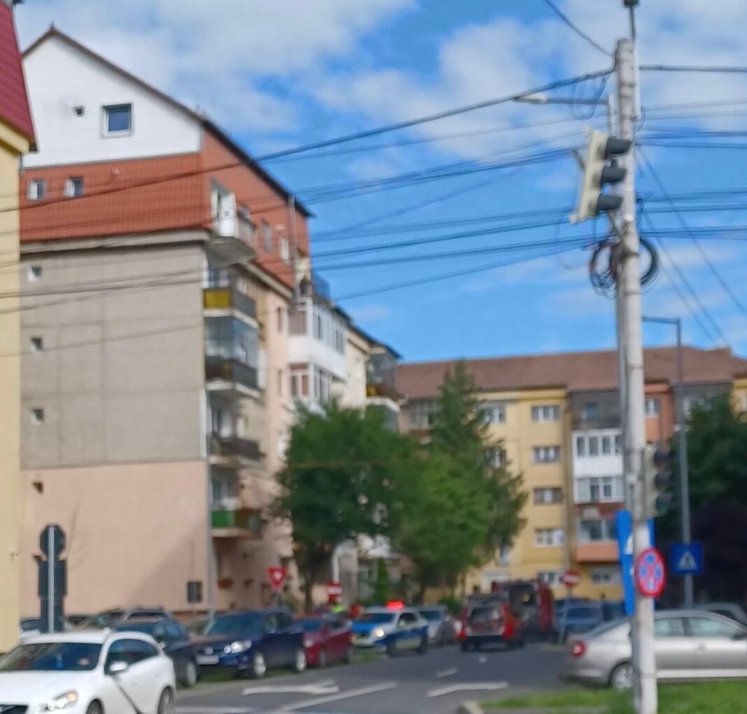 WhatsApp Image 2025-05-31 at 10.28.22_d56acee0