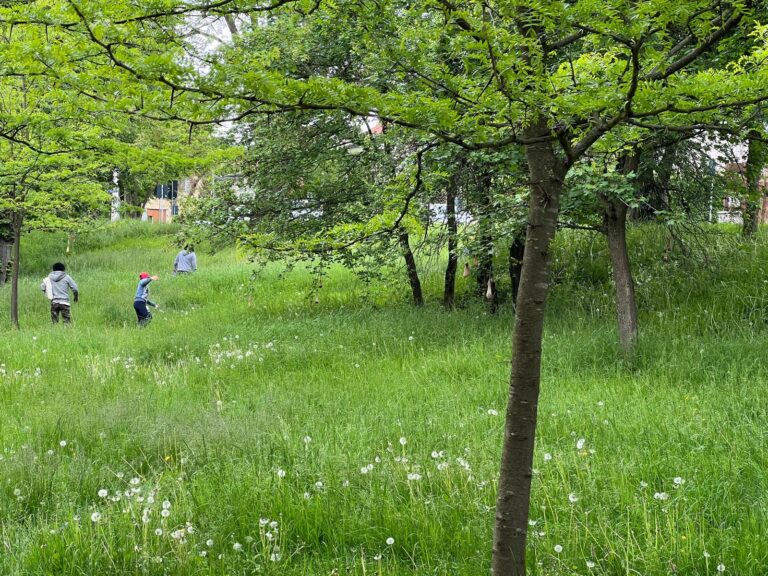 „Prietenii Parcului” lansează o platformă de consultare pentru viitorul Parcului Sub Arini