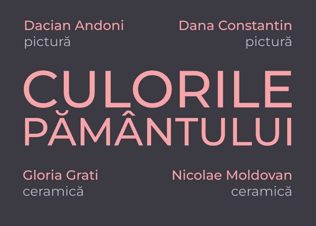 afis_dana_constantin