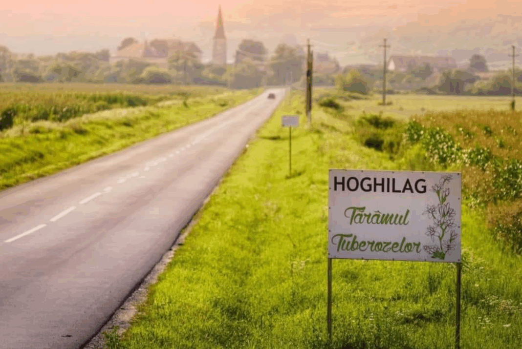 Screenshot 2025-06-17 155354