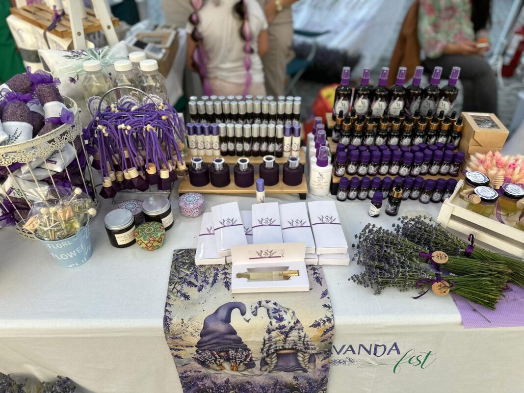 503758091_1022506209998467_1020764411998042459_n