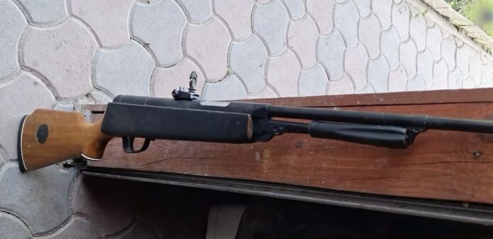 9202d498-0886-48e2-93e3-d65daab675bf-2-1