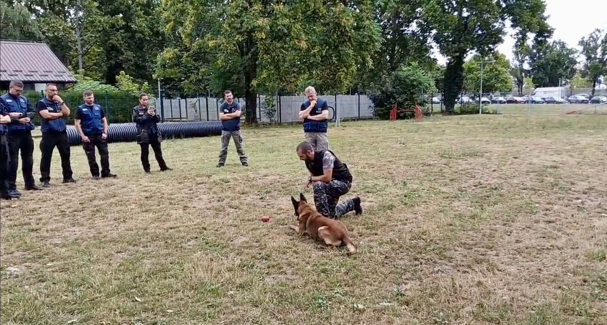 O echipă a Centrului Chinologic din Sibiu a participat la un curs canin în Croația pentru detectarea narcoticelor