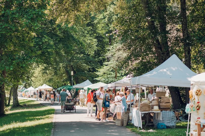 519545762_1082348240770409_3154366907696542361_n