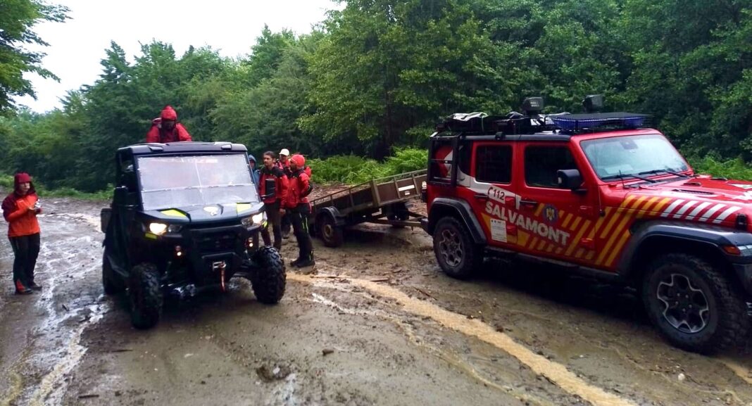 d017d3d3-ba82-4622-9d73-eab4dc330cc4-1