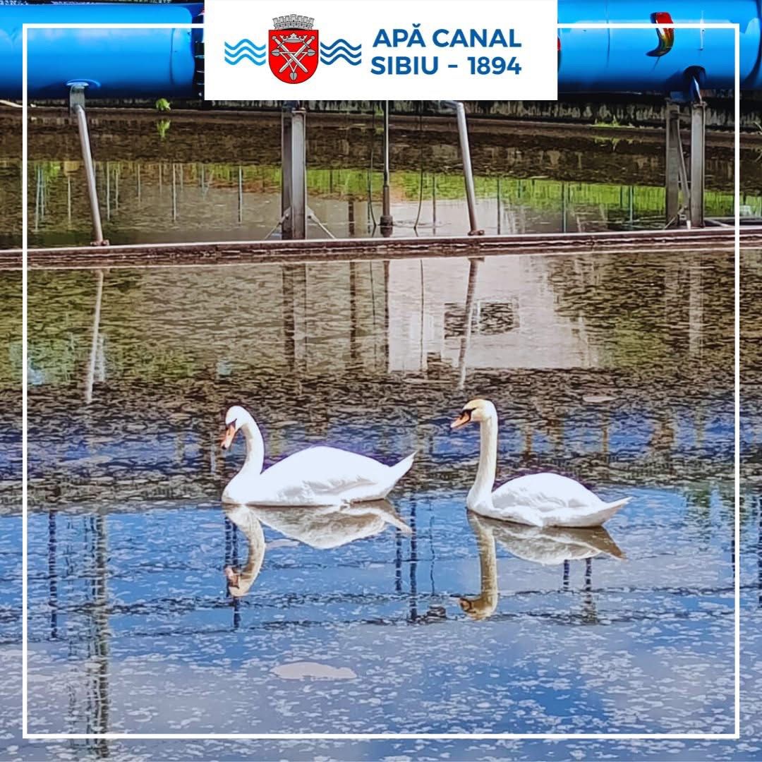 Apă Canal Sibiu a participat la concursul național de fotografie „ARAtă apa!”