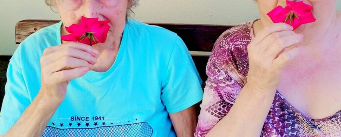 515500821_1181440440665865_606691159389900790_n