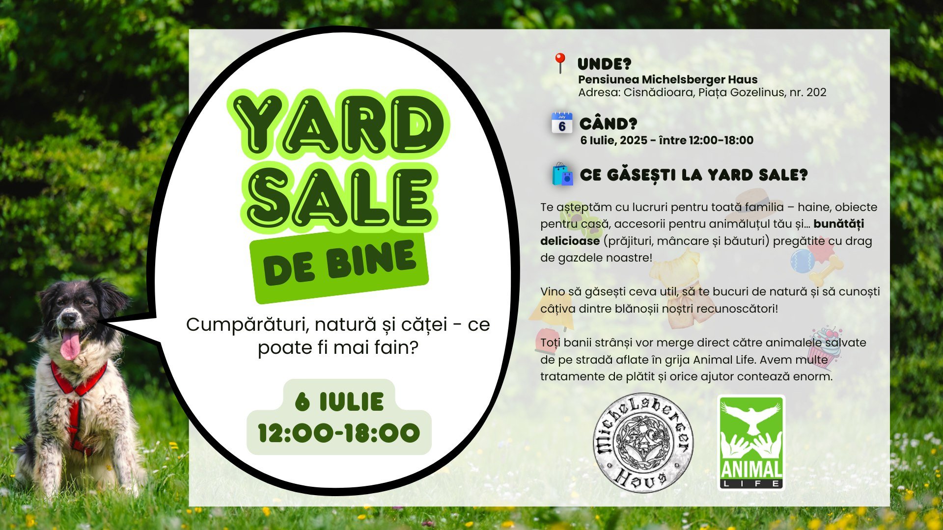 Animal Life organizează un Yard Sale caritabil în Cisnădioara: un obiect vândut, o șansă pentru un cățeluș!