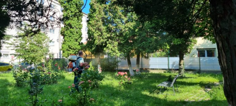 Știri din Sibiu, actualitate locală și ultimele noutăți din județ Dezinsecție împotriva căpușelor în Sibiu, în nopțile de 28 și 29 septembrie. Sunt vizate parcurile, zonele de blocuri și malurile râurilor