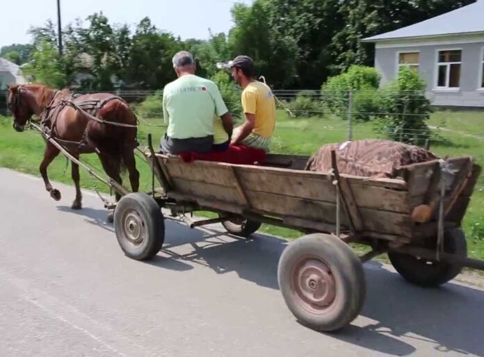 536272168_1186199990201965_8279028799263131619_n (1)