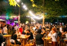 EDITORIAL: Focus Festival, locul în care Sibiul își aude comunitatea Public la Focus Festival Sibiu, eveniment care unește comunitatea locală prin artă și cultură
