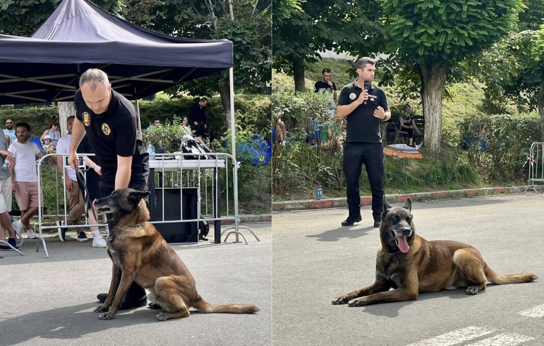 centrul chinologic sibiu 2a.png