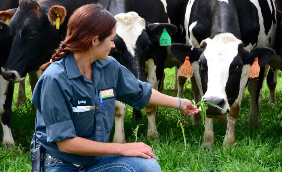 Aurora-Organic-Dairy-2