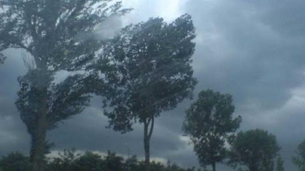 vijelii.v1-1-e1693386574283