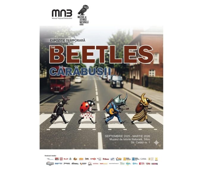 Specimen de gândac la Expoziția „The Beetles”, montat pentru studiu într-un cadru istoric.