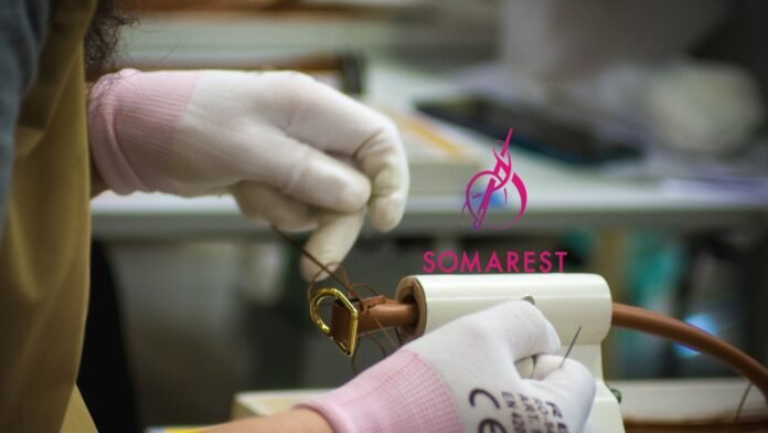 Cariere Somarest: echipa noastră pasionată construiește viitorul