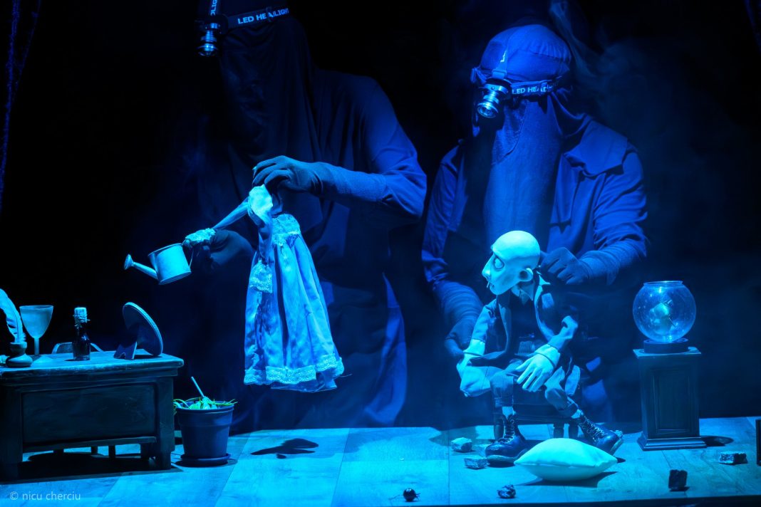 282_DRACULA_2025.09.11 - NIK_8404 © Nicu Cherciu