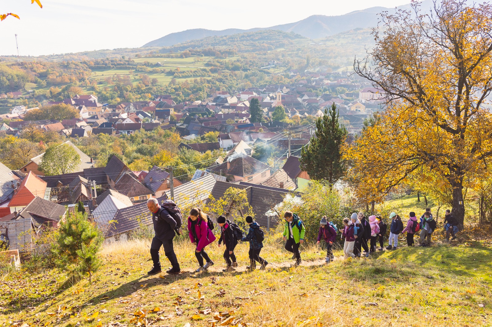 Elevi din județul Sibiu participă la o aventură cu clasa în natură, explorând peisajul