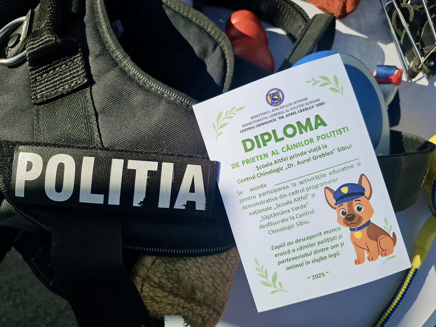 Elevi în vizită la Centrul Chinologic Dr. Aurel Greblea din Sibiu, în programul Școala Altfel