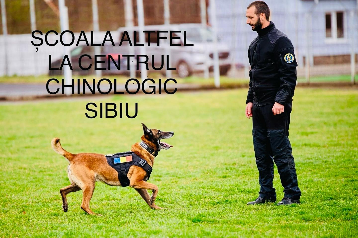 Elevi participă la activități practice în cadrul Centrului Chinologic Sibiu Școala Altfel