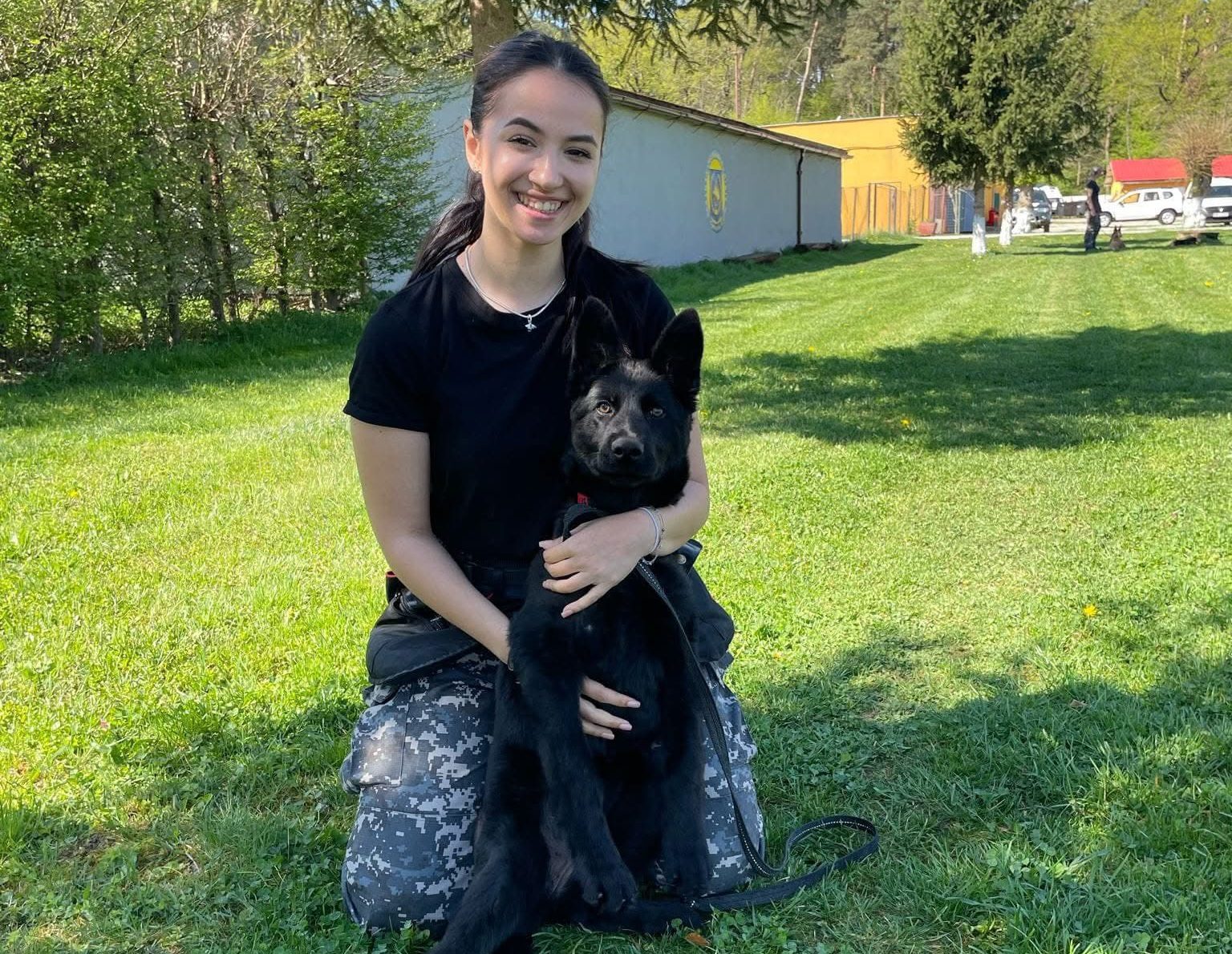 Câine polițist K9 dresat în acțiune, partener loial pentru forțele de ordine