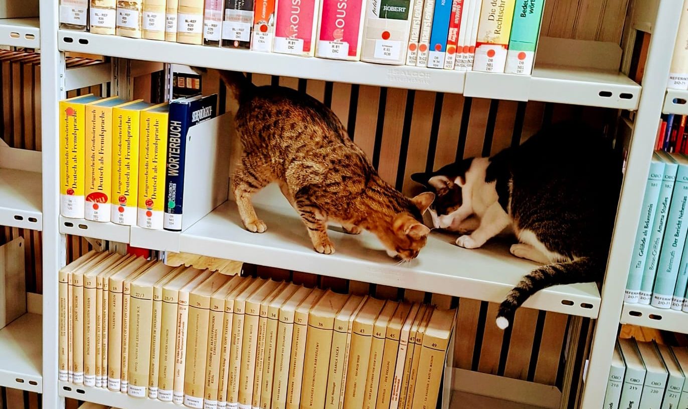 Biblioteca Universitară ULBS, un spațiu modern de studiu pentru boboci, cu rafturi pline de cărți