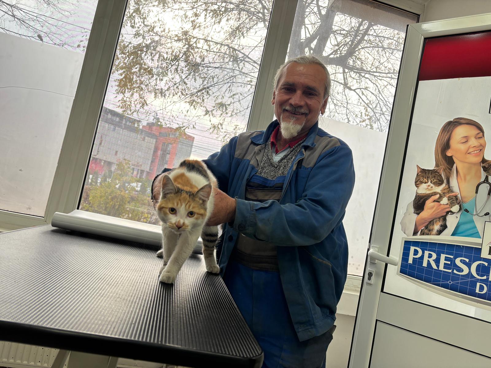 Echipă veterinară efectuând sterilizare animală în cadrul campaniei din Mediaș