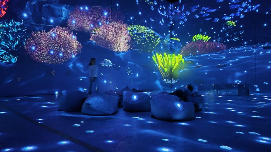 155f6c0c-6552-4a88-a64c-cafcfc0ef25d Intrarea colorată și invitatoare a Muzeului Imersiv MINA Pop Up din Piața Mică.